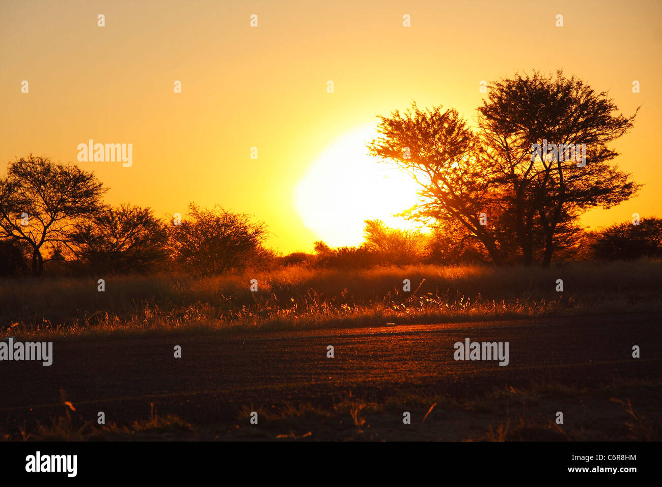 Trans-Kalahari-Sonnenuntergang Stockfoto