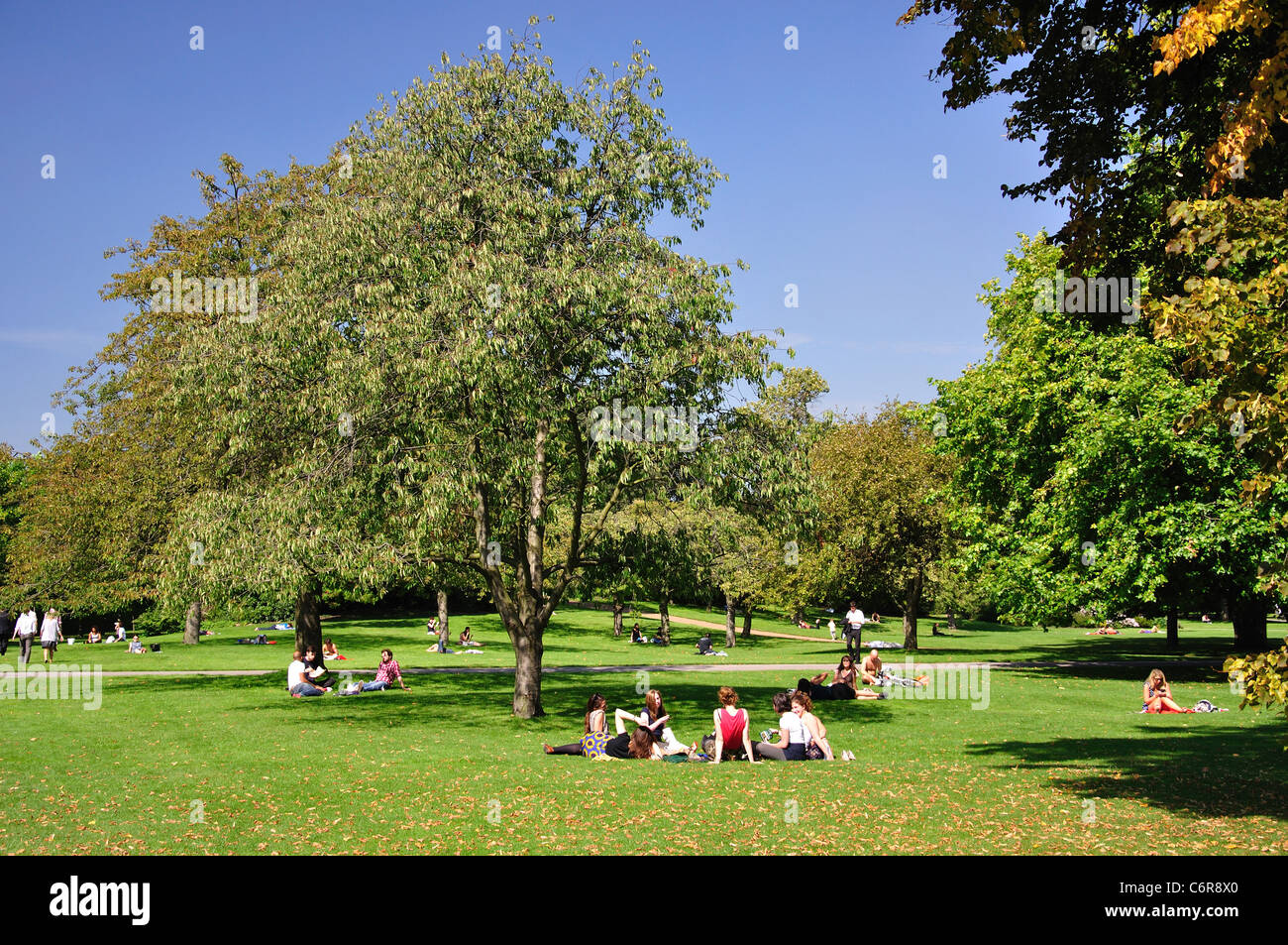 English Gardens, Regent's Park, City of Westminster, Greater London, England, Vereinigtes Königreich Stockfoto