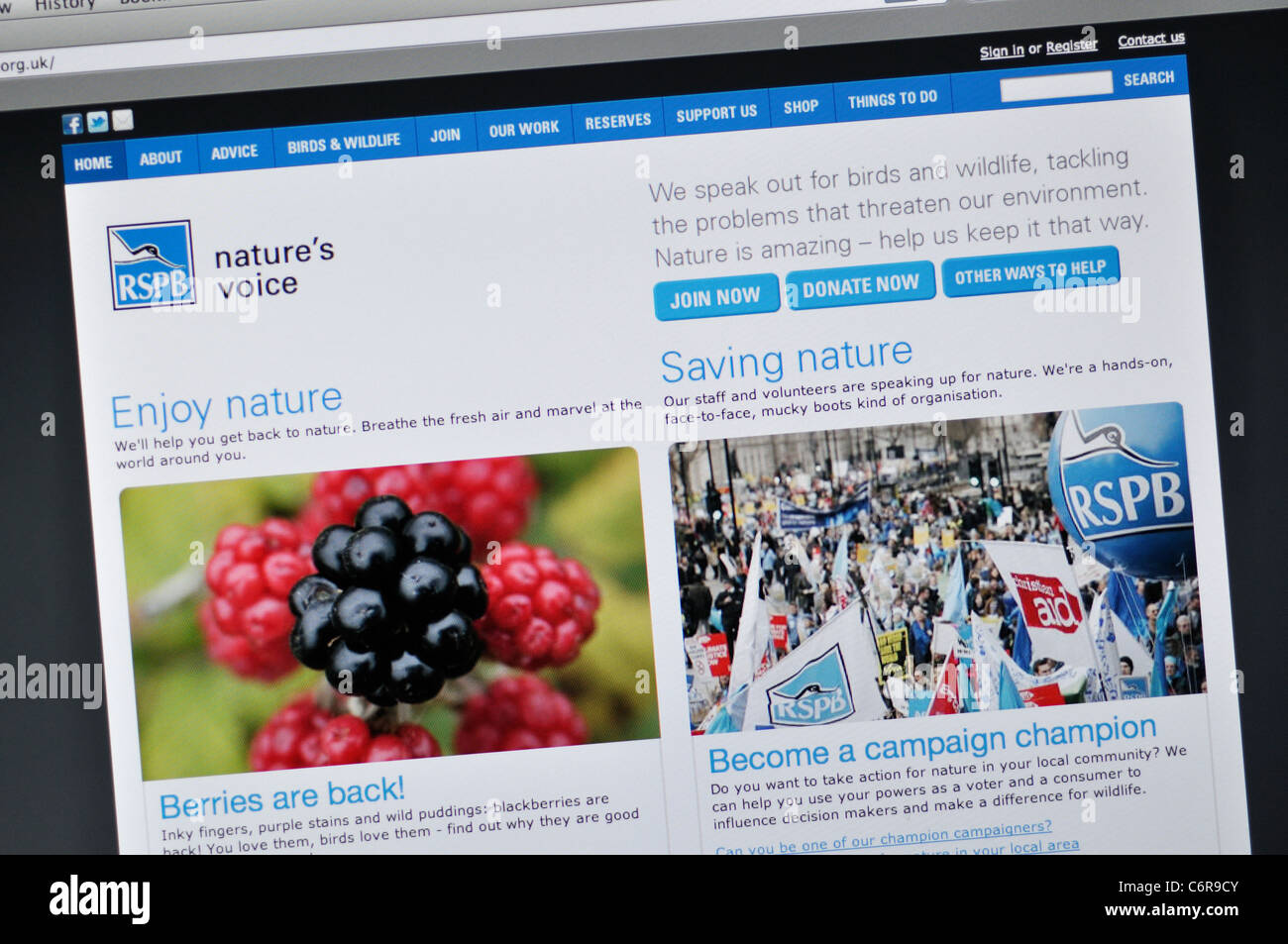 RSPB Website - Royal Society for Protection of Birds Stockfoto