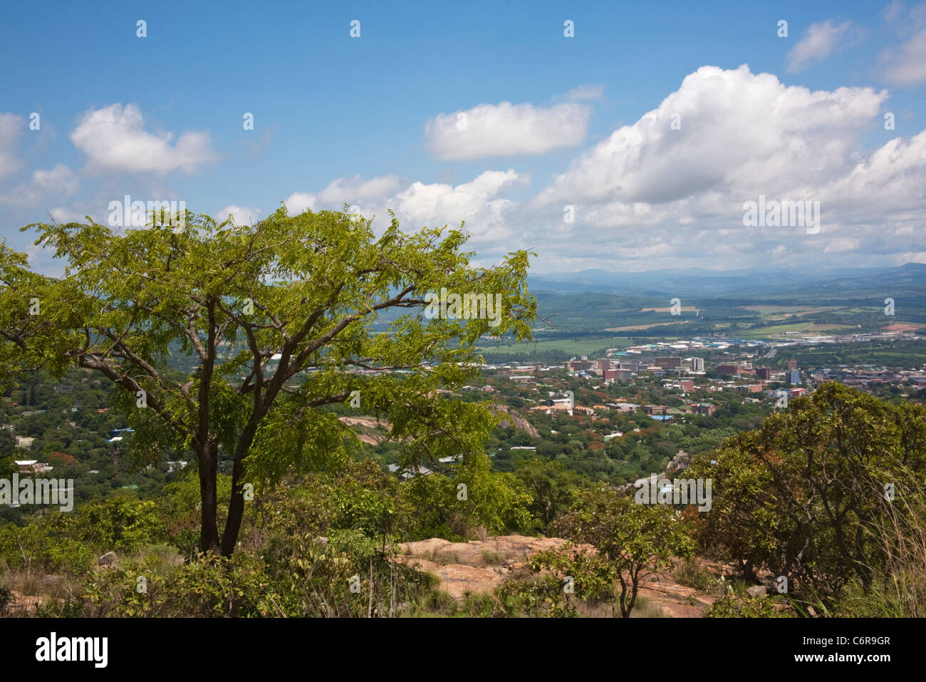 Malerische Aussicht der Stadt Nelspruit mit einem Kiaat Baum im Vordergrund Stockfoto