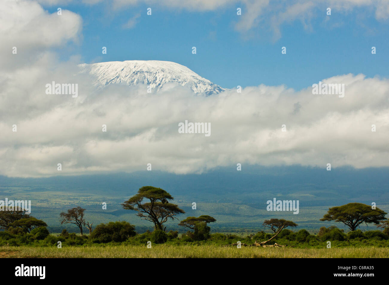 Eine typische trübe Aussicht auf Mt Kilimanjaros Kibo-Gipfel. Der Berg liegt in Tansania, über die Grenze. Stockfoto