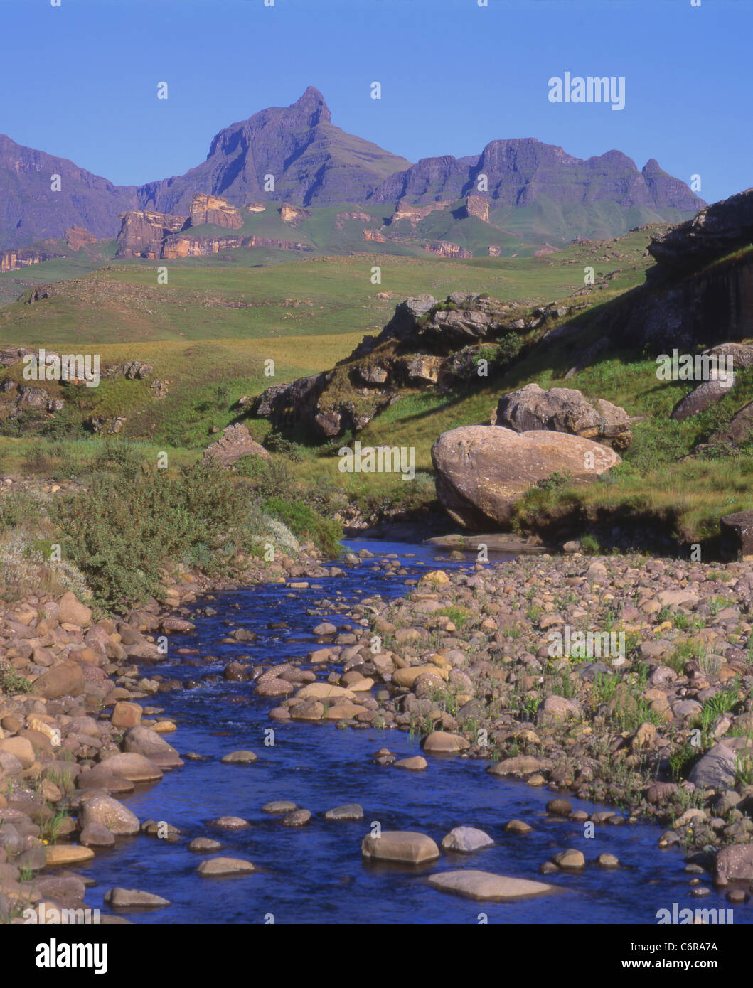 Steinigen Bach in den Drakensbergen mit Blick auf Rhino Horn Gipfel Stockfoto