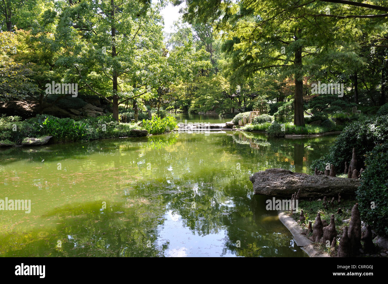 Japanischer Garten, Fort Worth, Texas, USA Stockfoto