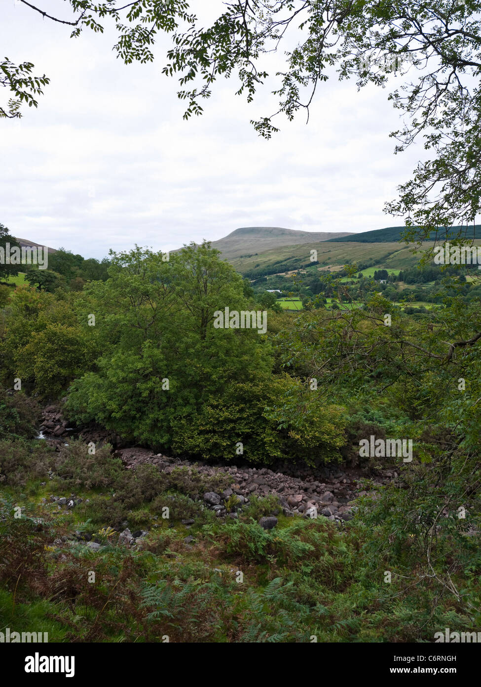 Blick über Afon Haffes in Richtung Fan Gyhirych in der Nähe von Glyntawe Powys Wales Stockfoto
