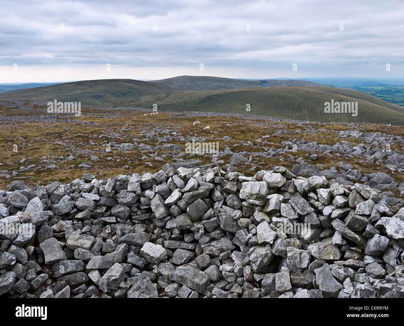 Westlich von Twyn-Swnd in Richtung Moel Gornach in den schwarzen Bergen des Brecon Beacons anzeigen Stockfoto