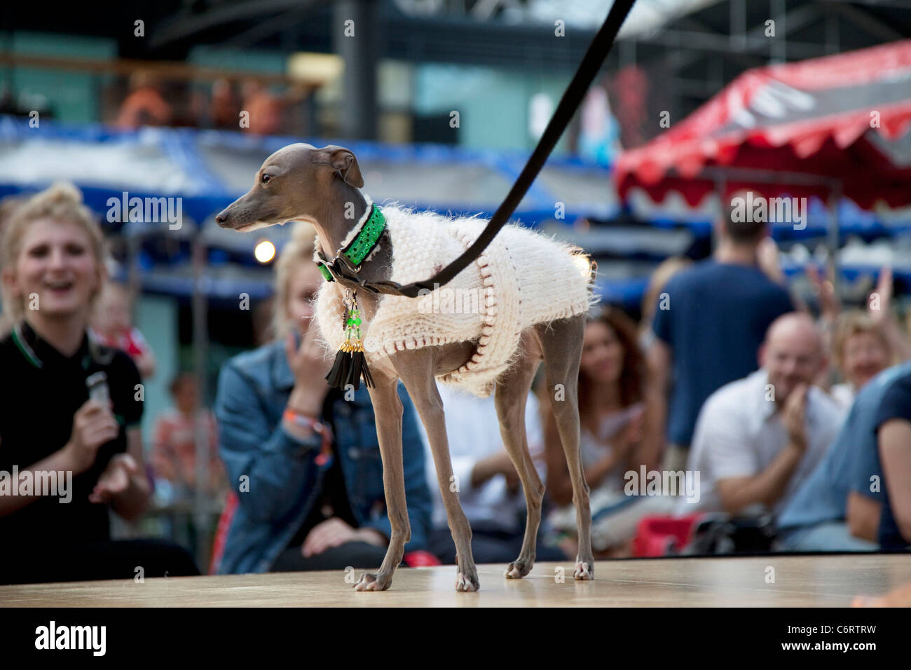 Pfote Pageant Hundeausstellung in Spitalfields Market, London. Einheimische geben Sie ihre Hunde in Shoreditch ungebundenen Festival Dog Show Stockfoto