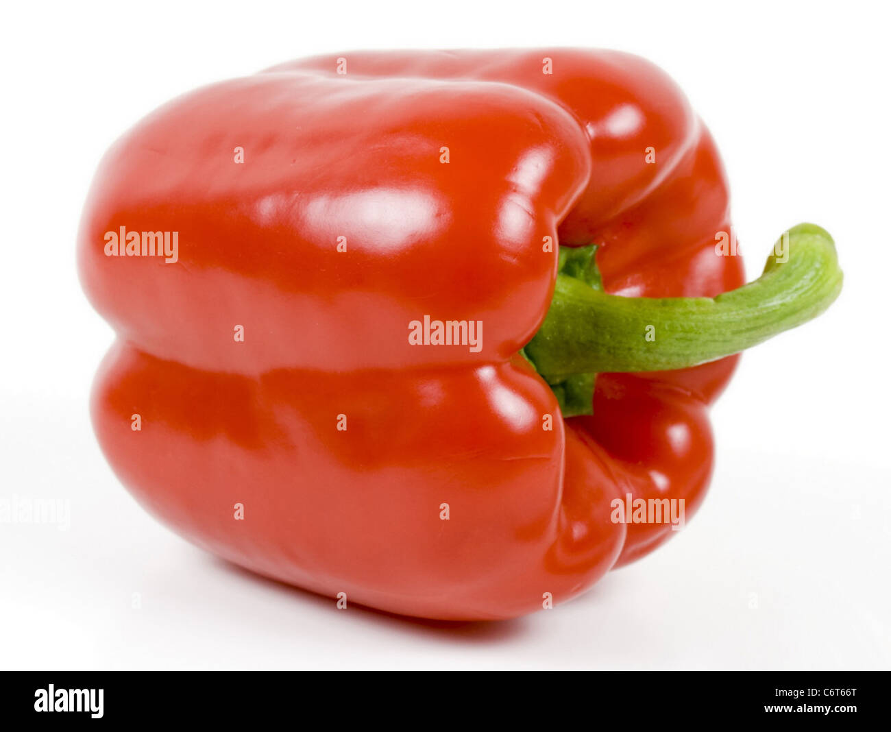 Paprika rot Bolgarian auf dem weißen Hintergrund Stockfoto