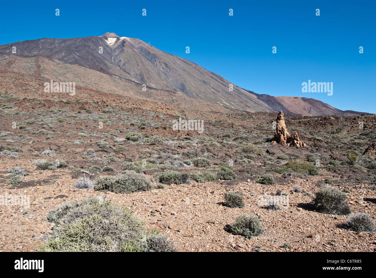 Parque Nacional de Las Cañadas del Teide (Teide-Nationalpark), Teneriffa, Kanarische Inseln Stockfoto