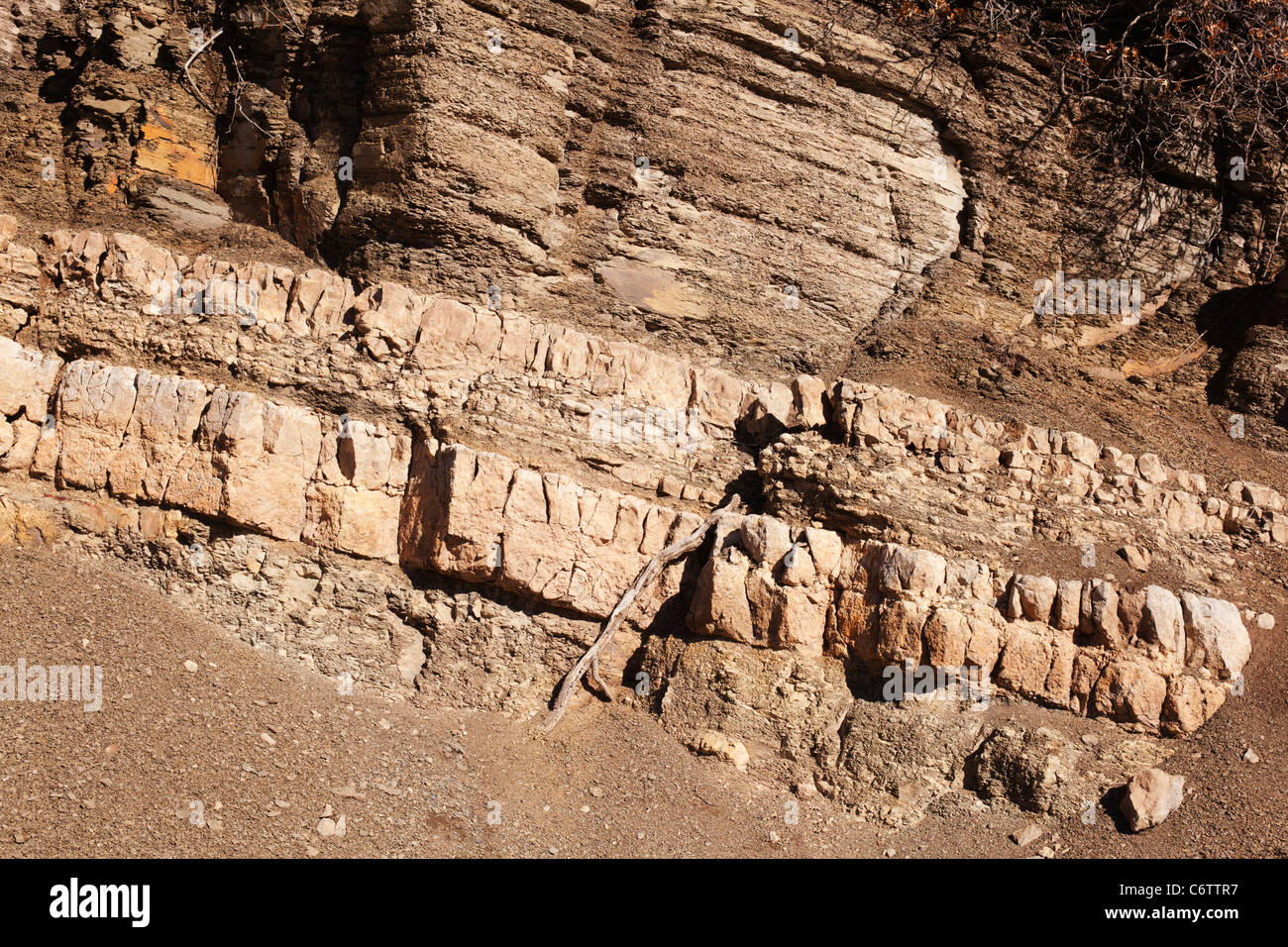 Alten gekippt und sedimentären Felsen Exposition auf Sandia Peak, New Mexico. Stockfoto