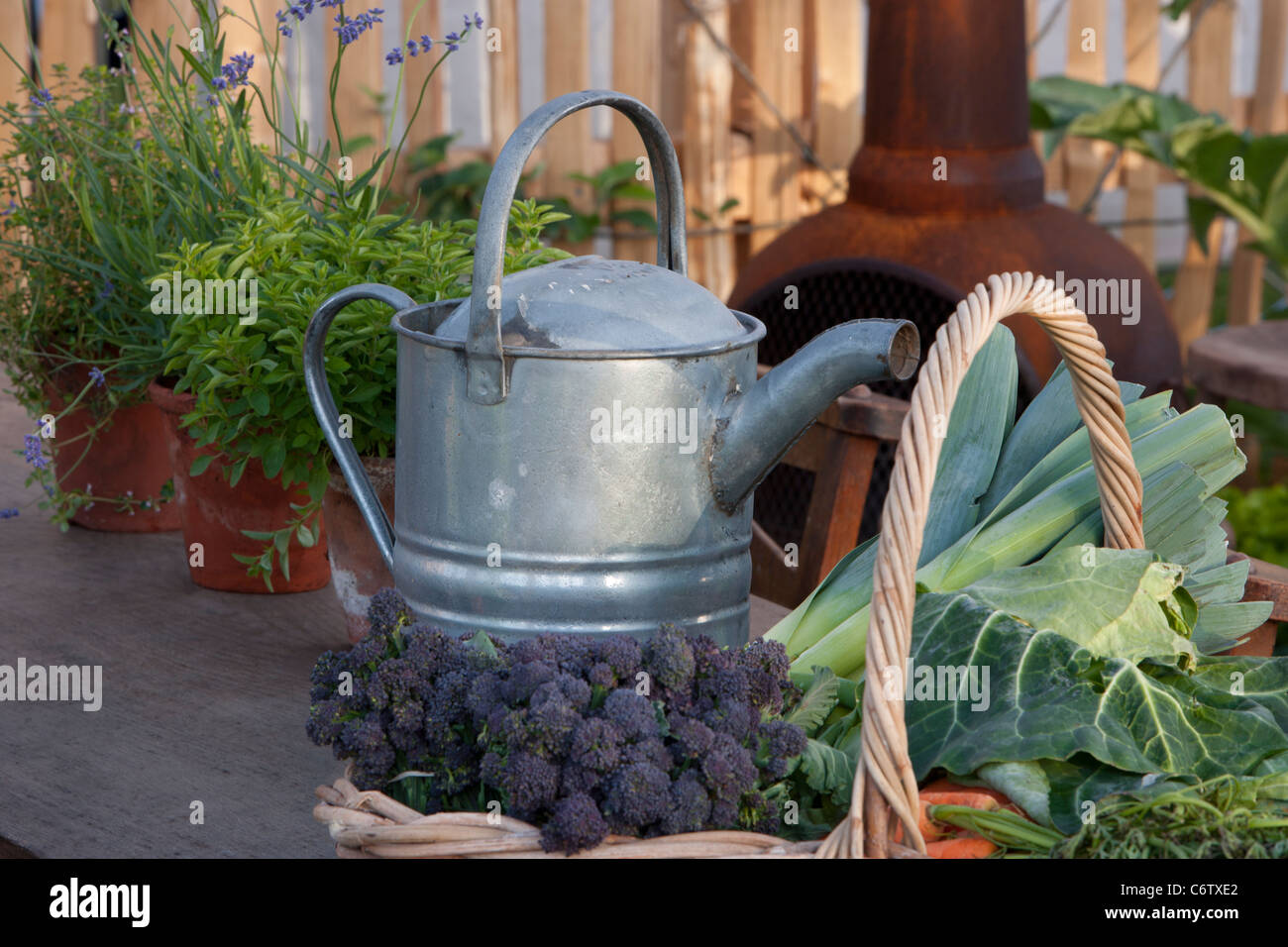 Gold 'meine sehr lokale Gemüse Garten' Malvern Frühling Gartenarbeit Show 2011 ausgezeichnet Stockfoto
