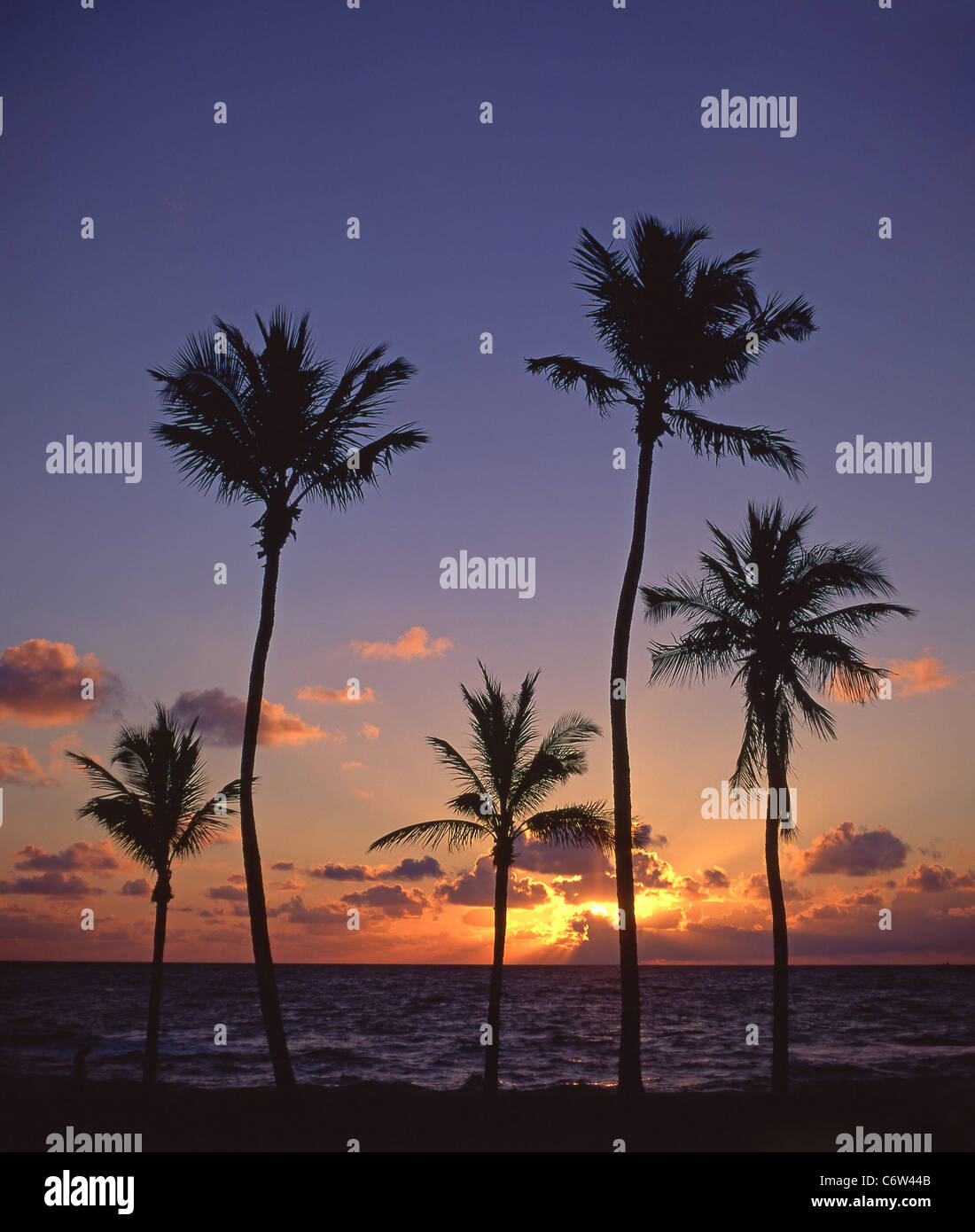 Sonnenaufgang über dem Meer, Fort Lauderdale, Florida, Vereinigte Staaten von Amerika Stockfoto