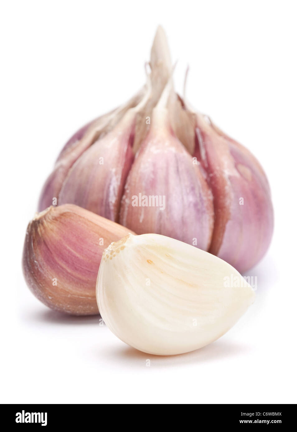 Knoblauch Gemüse Closeup isoliert auf weißem Hintergrund Stockfoto