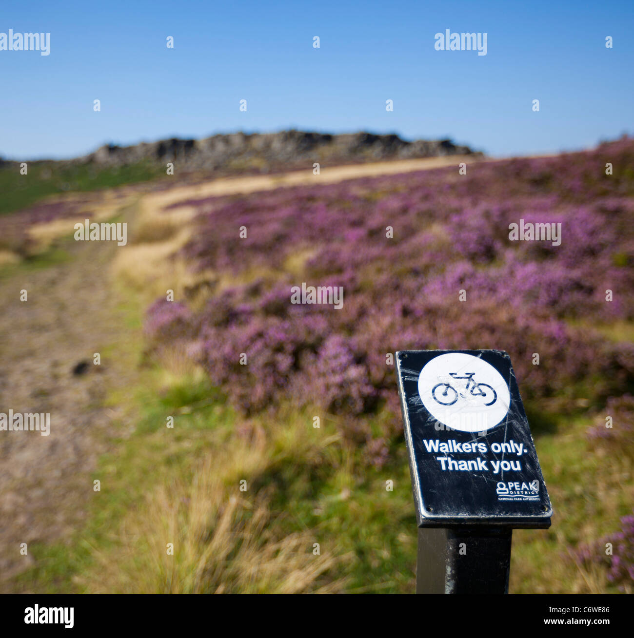 "Wanderer nur" Zeichen Peak District National park lila Heidekraut Derbyshire England UK GB EU Europa Stockfoto