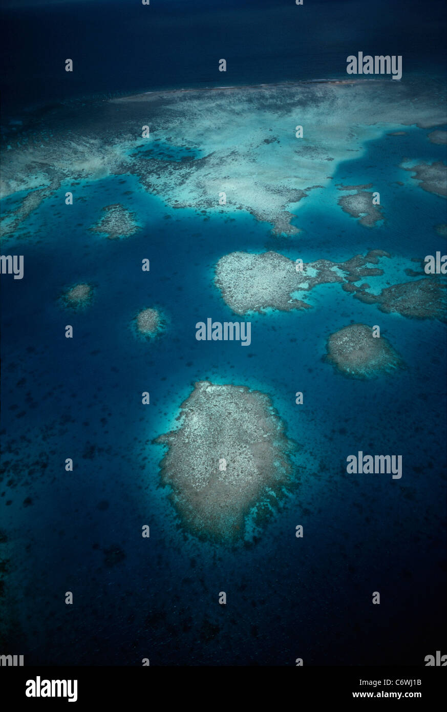 Farbsäume Korallenriff. Palau-Inseln, Mikronesien, Pazifik Stockfoto