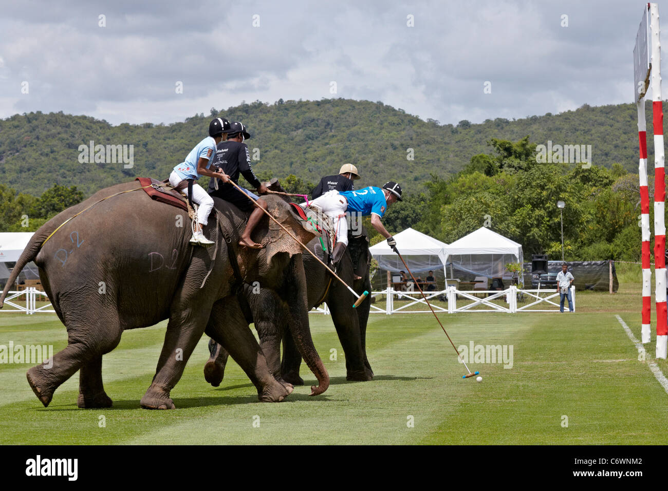 Elefanten-Polo-Spiel-Aktion. Kings Cup 2011. Hua Hin, Thailand, Südostasien Stockfoto