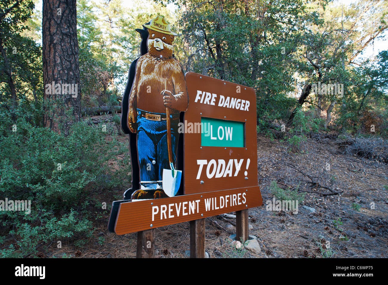 Smokey Bear (oft Smokey der Bär oder einfach Smokey genannt) ist ein Maskottchen der United States Forest Service geschaffen, um zu erziehen. Stockfoto
