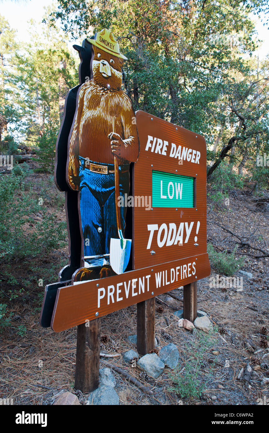 Smokey Bear (oft Smokey der Bär oder einfach Smokey genannt) ist ein Maskottchen der United States Forest Service geschaffen, um zu erziehen. Stockfoto