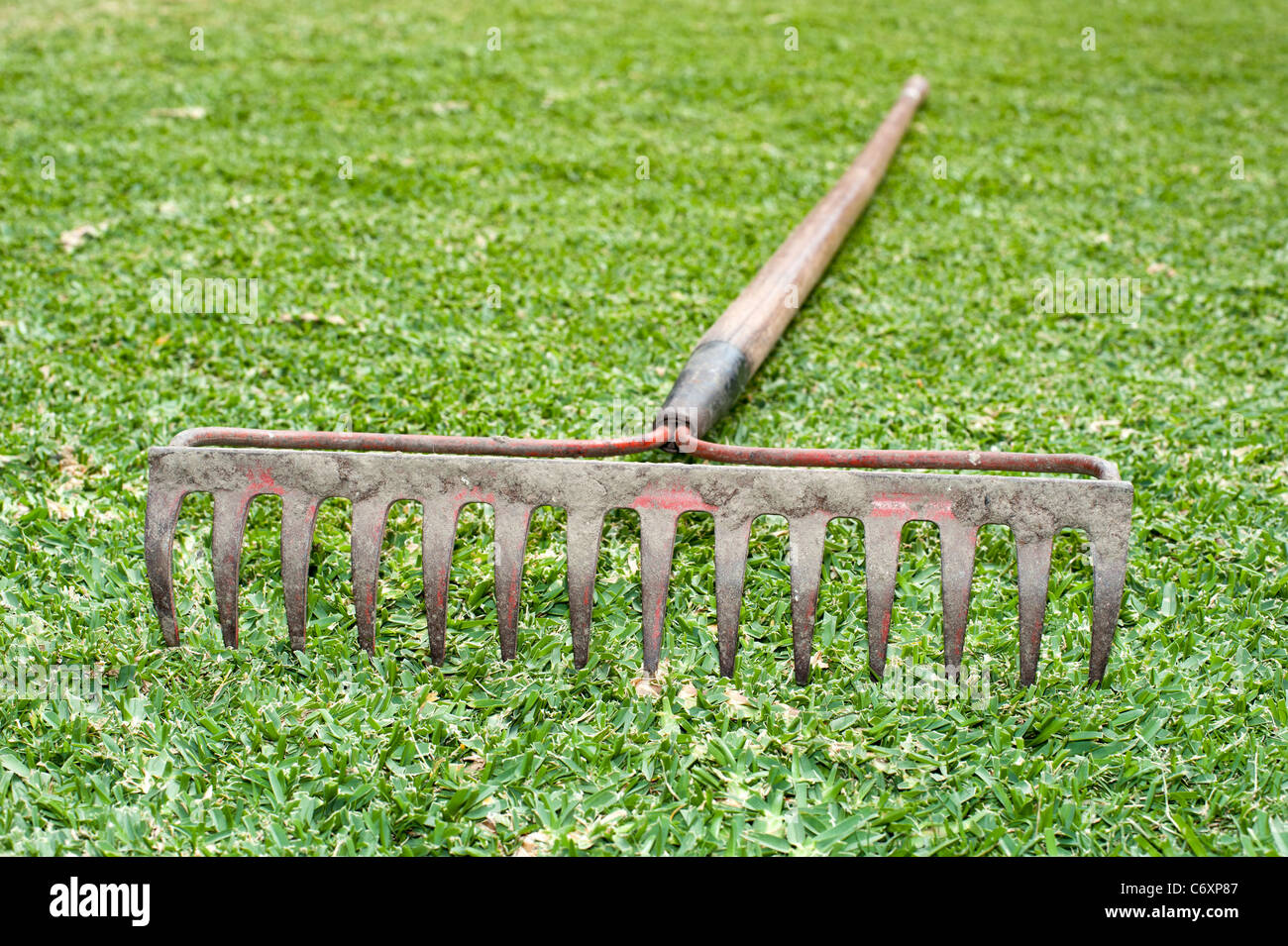 Ein Stahl Tine Rake im Gras Stockfoto