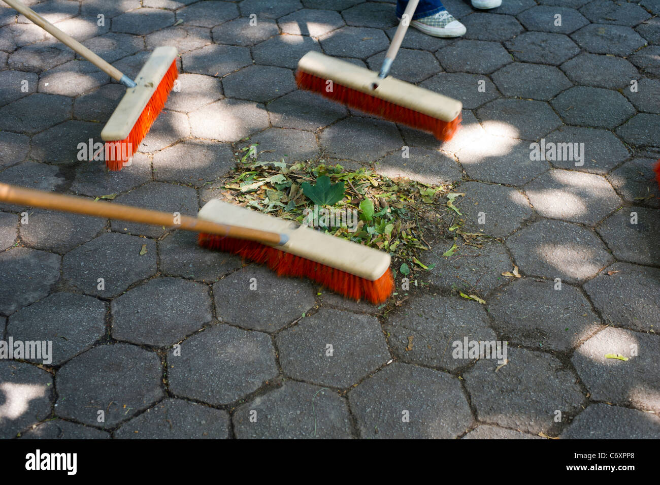Freiwilligen Studenten helfen aufzuräumen Prospect Park im Stadtteil Brooklyn in New York Stockfoto