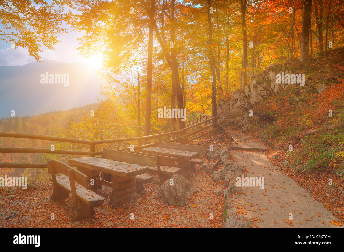 Goldener Herbstwald in Sonnenstrahlen im National Park. Erholungsgebiet mit Tischen und Bänken im Vordergrund. Triglav-Bereich, Slowenien Stockfoto