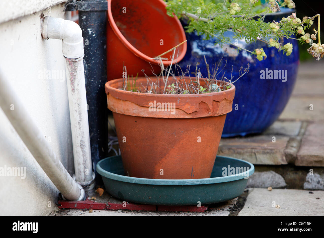 Flakey alte Frost zerfallen Garten Topf Stockfoto