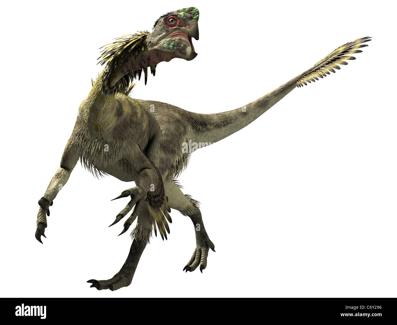 Citipati ist eine Gattung der Oviraptoriden theropoder Dinosaurier aus der späten Kreidezeit. Stockfoto