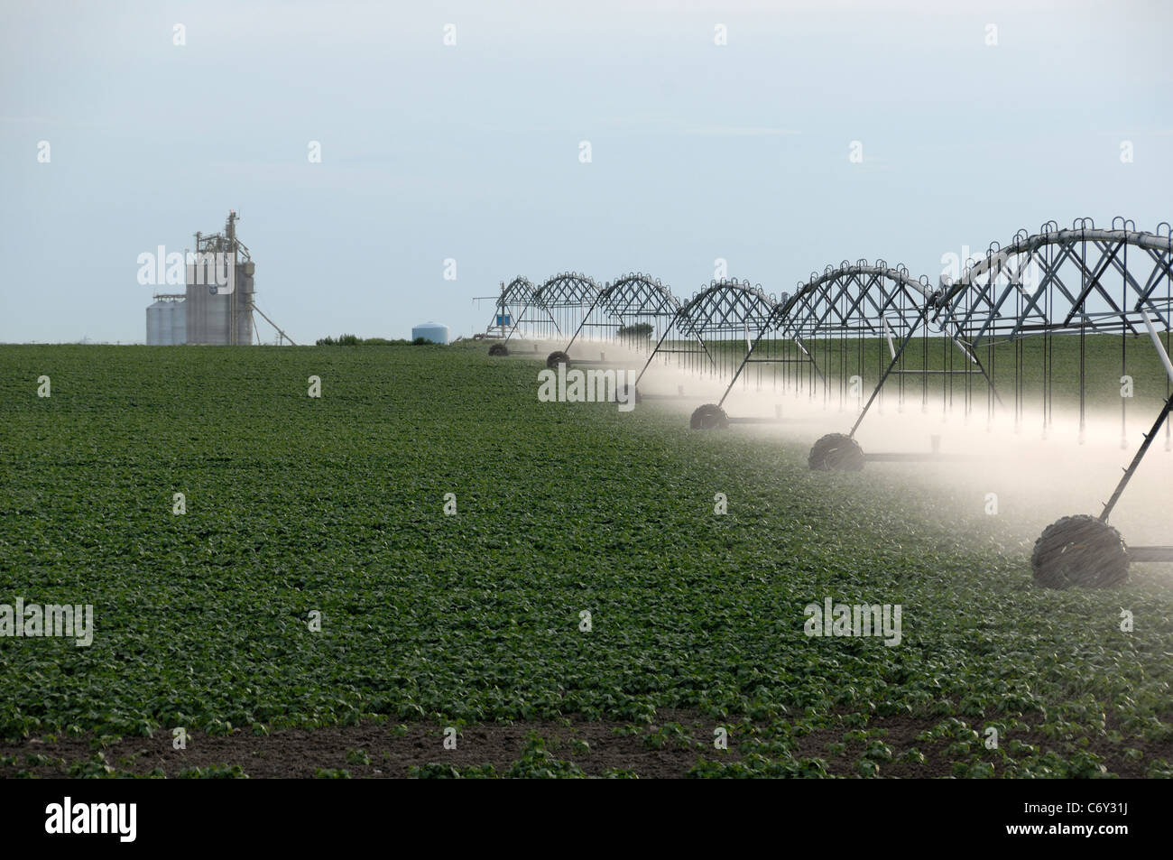 Landwirtschaftlicher Haupterwerbsbetrieb Bewässerung Sprayer Besprühen der Pflanzen mit Wasser. Getreidesilo im Hintergrund. Stockfoto