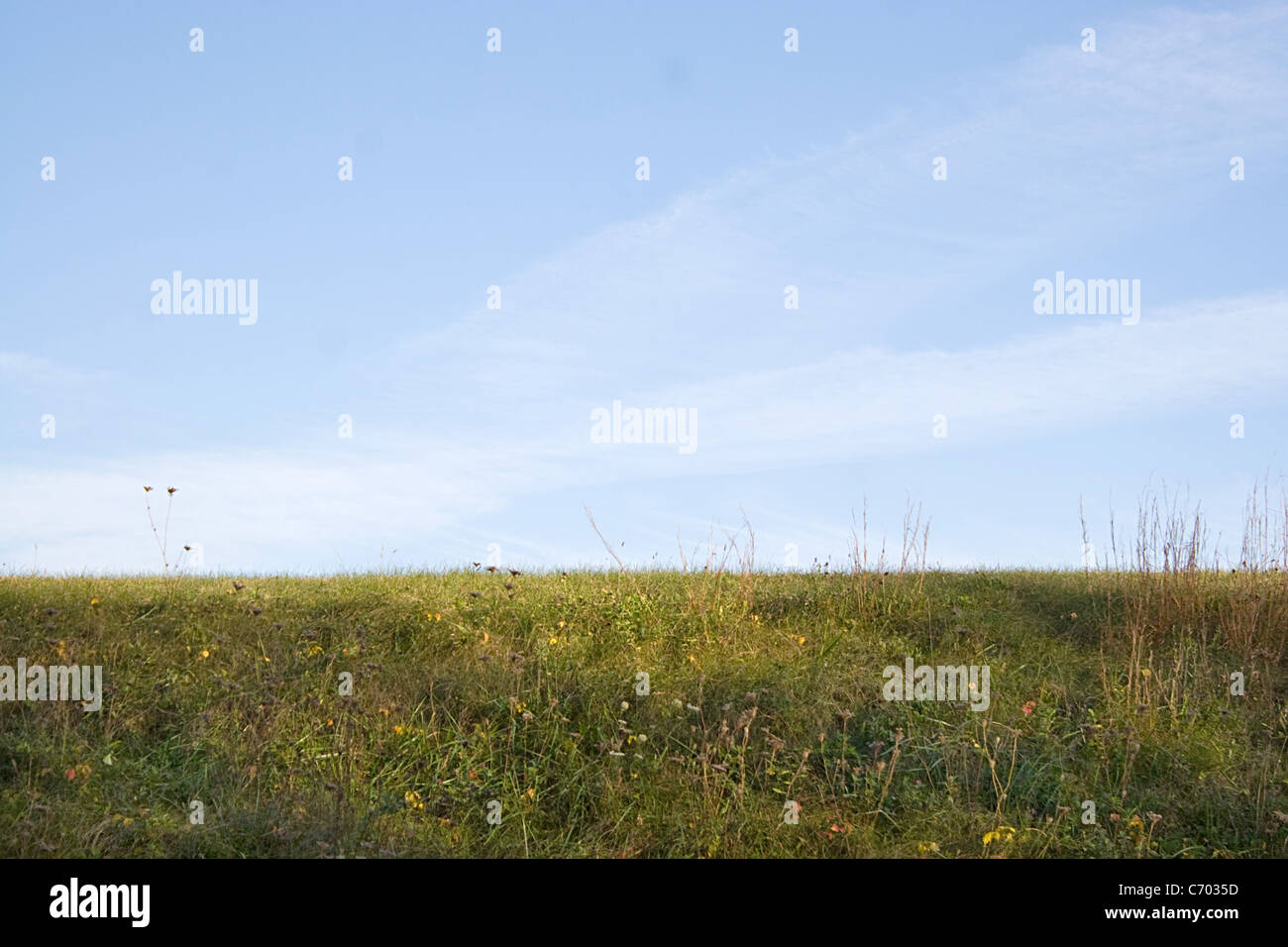 Eine grüne Wiese und blauer Himmel geschossen in Neu-England. Stockfoto