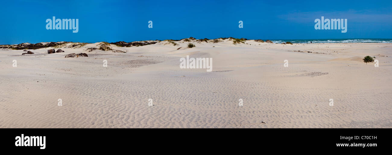 Panorama von Wind auf Sanddünen auf South Padre Island an der Golf Küste von South Texas. Stockfoto