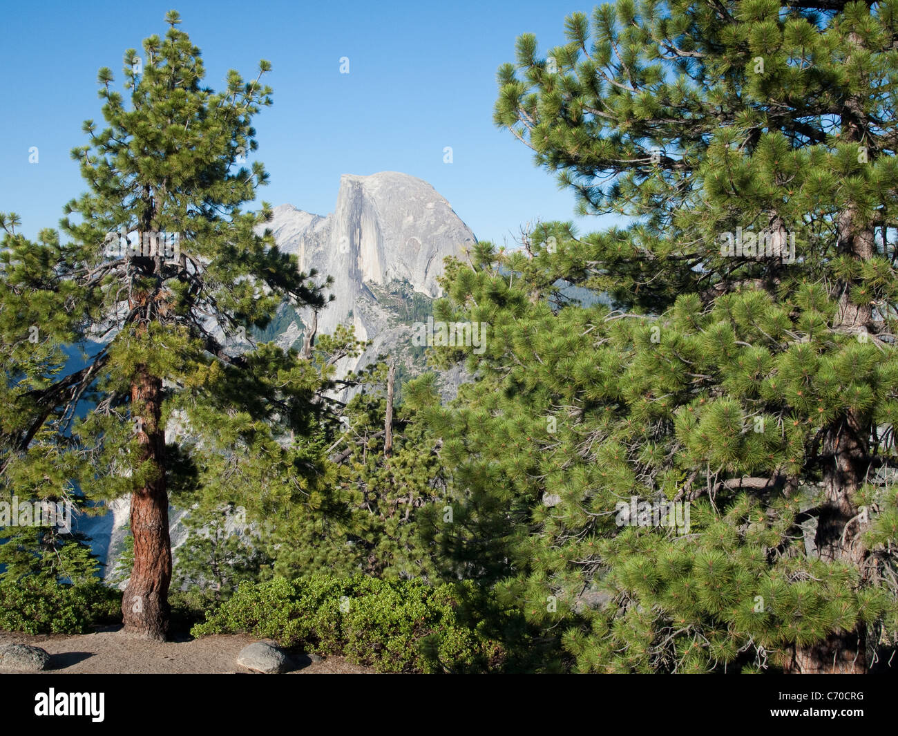Half Dome, Yosemite-Nationalpark, USA Stockfoto