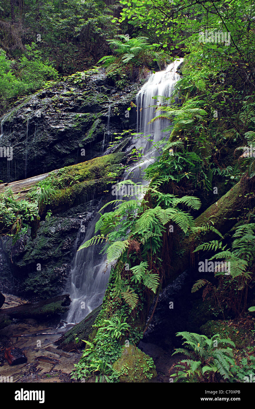 Wasserfall, Russian Gulch State Park, Kalifornien Stockfoto