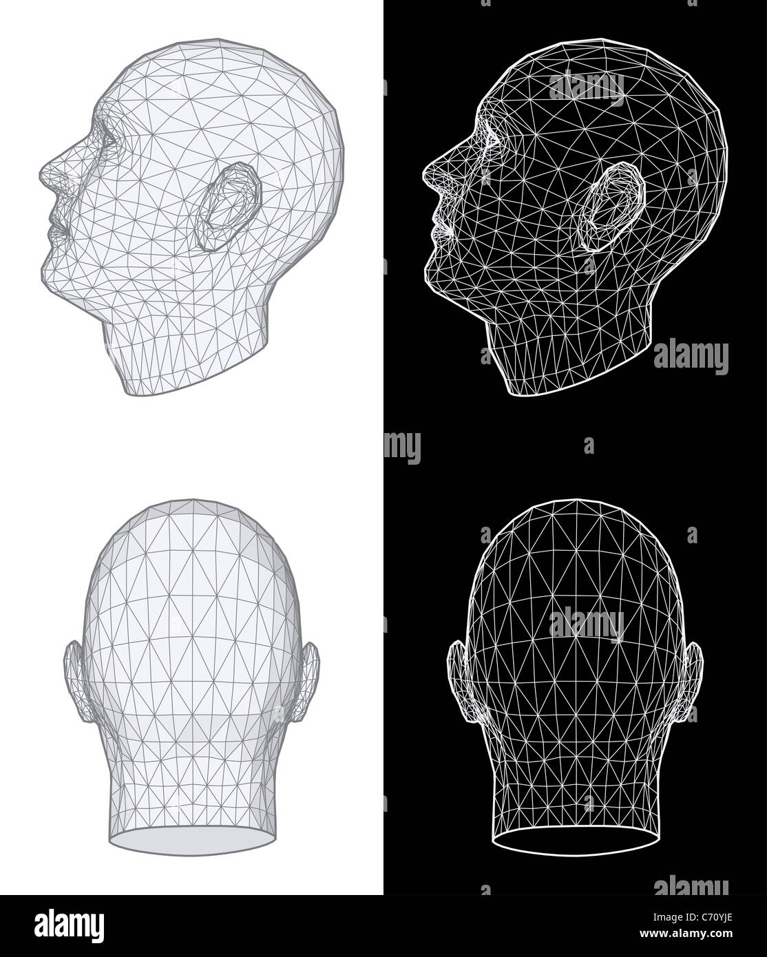 Menschlichen Kopf 3D Illustration Stockfoto