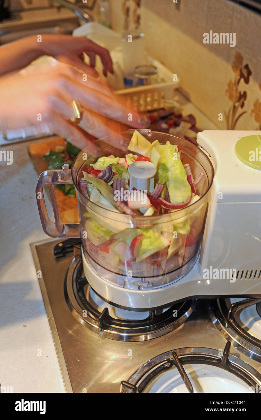 Junge Frau der 20er Jahre mit frischen Zutaten und Blender macht Krautsalat in ihrer Küche zu Hause Stockfoto
