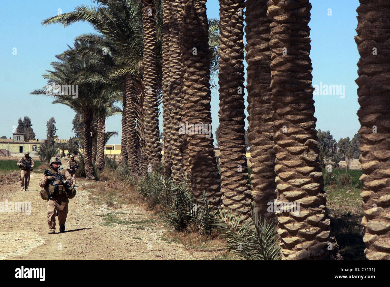US-Marines und irakische Polizisten Fuß eine Straße gesäumt von Dattelpalmen, wie sie zu Fuß außerhalb Jebadin, Irak, am 17. März 2008 patrouillieren. Die Marines sind Foxtrott Company, 2. Bataillon, 3. Marine Regiment, Regimental Combat Team 1 beigefügt. DoD-Foto von Lance Cpl. Stuart C. Wegenka, US Marine Corps. (Freigegeben) Stockfoto