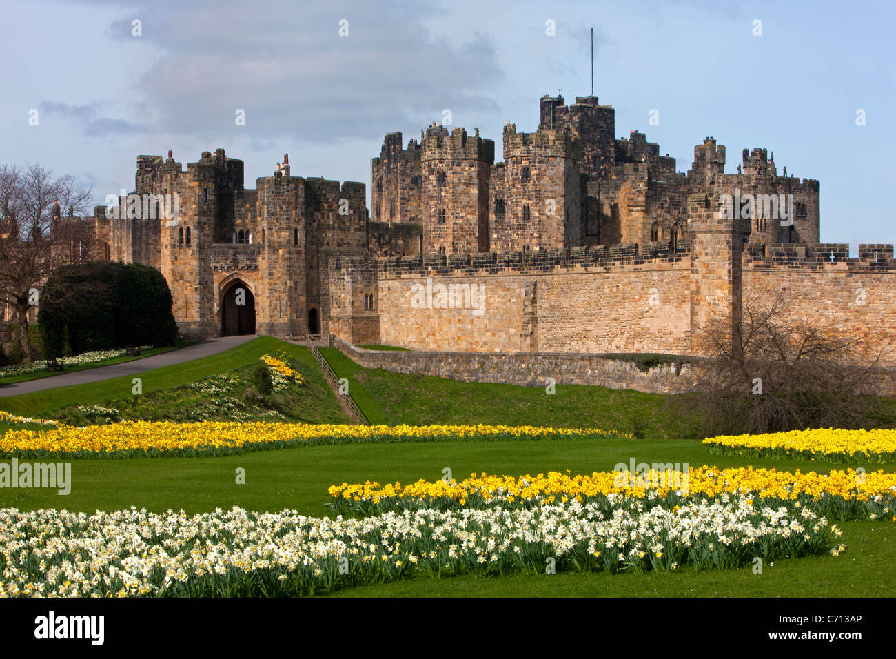 Alnwick Castle, Northumberland, im Frühling mit Narzissen Stockfoto