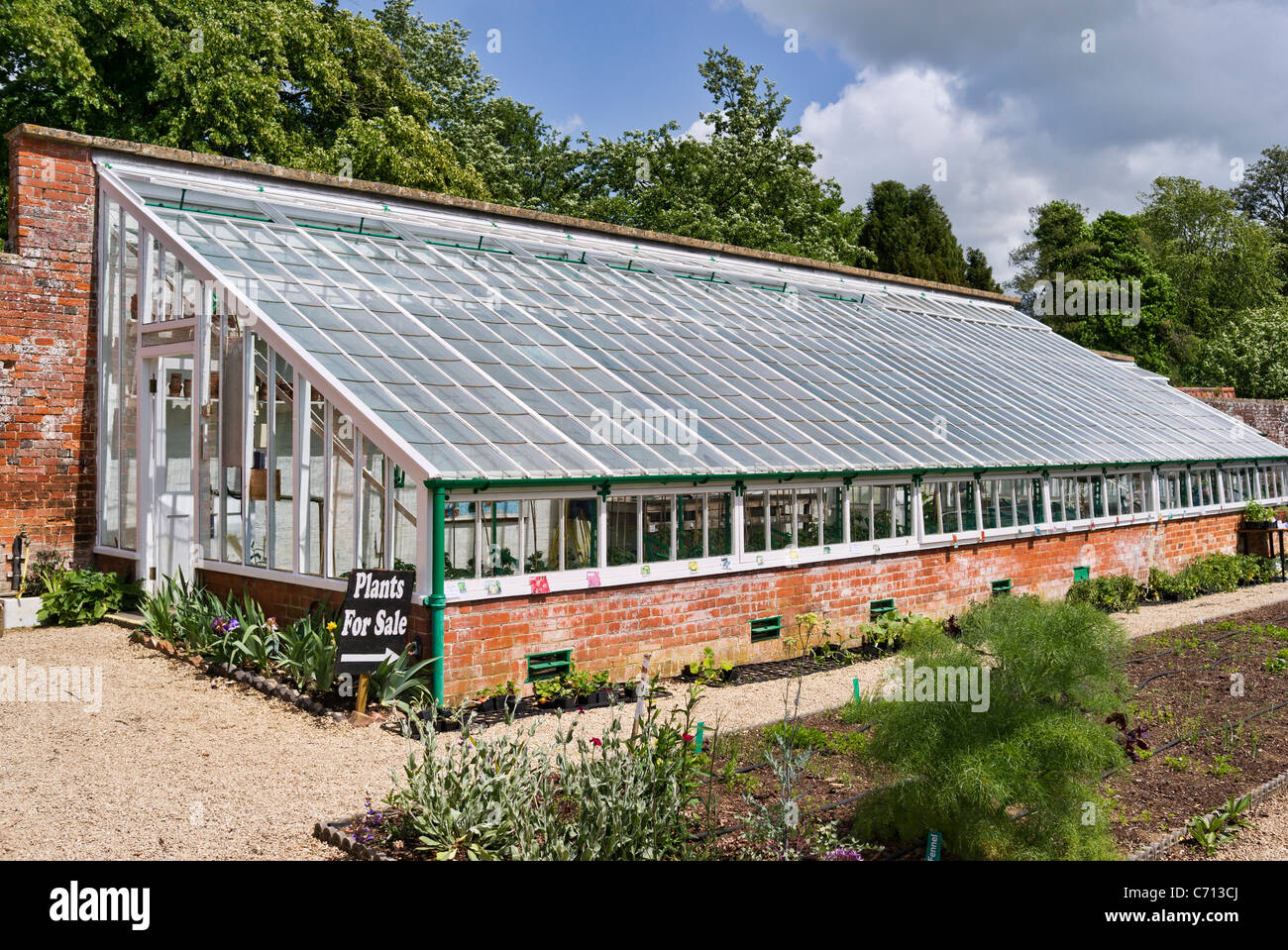 Großes Glas-Haus in einem ummauerten Garten in Wiltshire UK Stockfoto