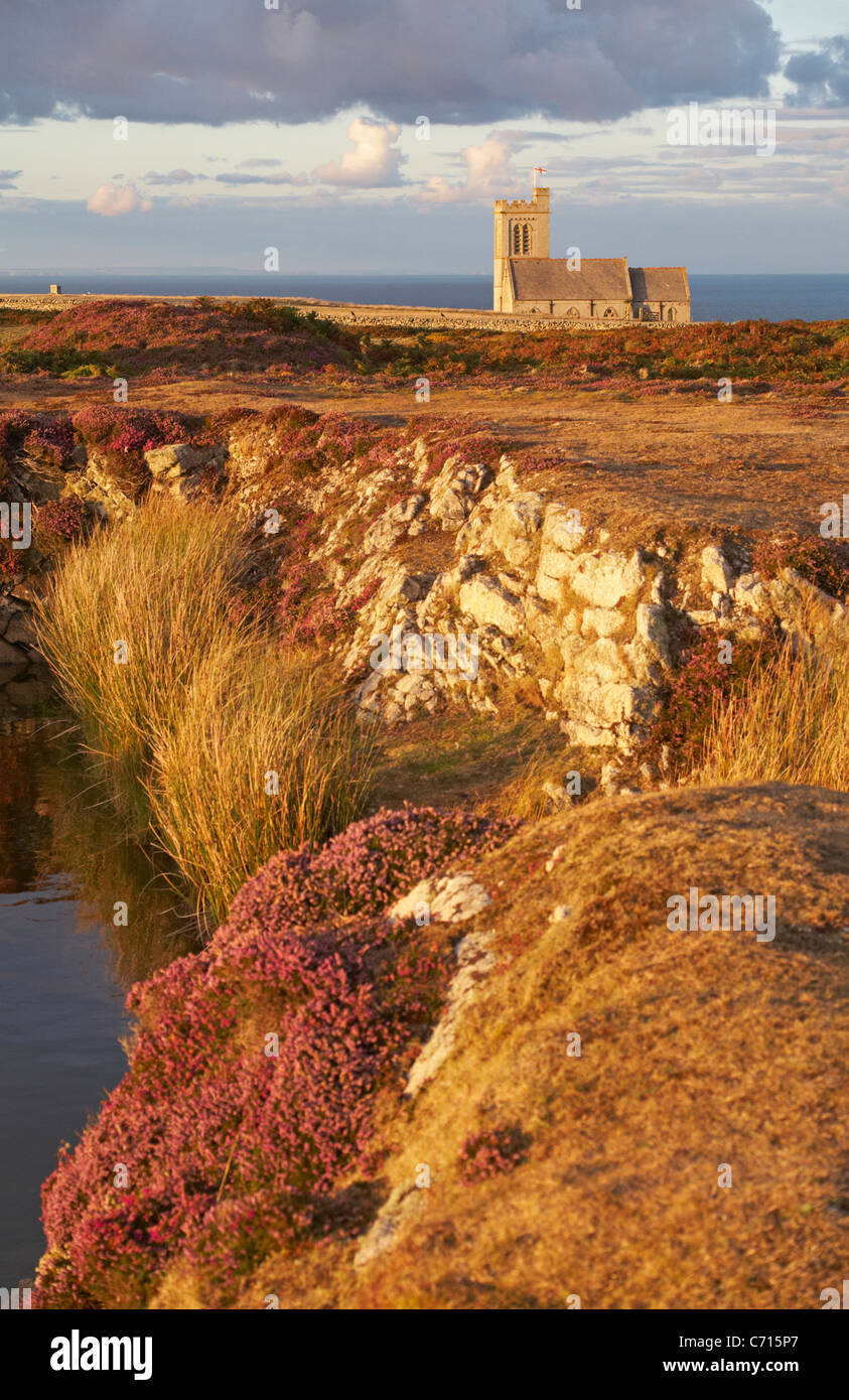 St Helena's Church Im goldenen Abendlicht mit Heidekraut und Rakete Pole Teich im Vordergrund auf Lundy Island, Devon, England, UK im August Stockfoto