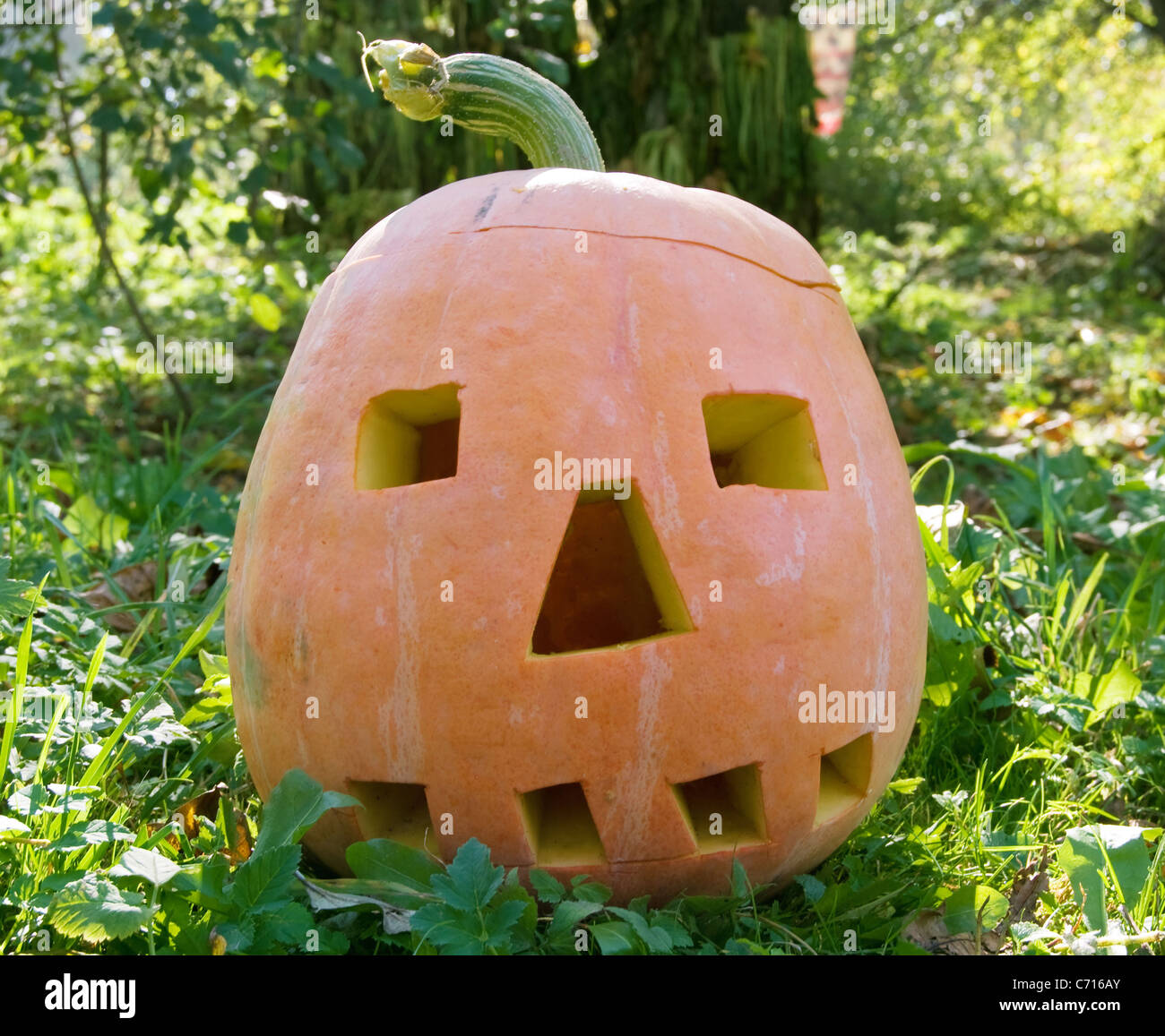 Halloween-Kürbis auf grün das Gras Stockfoto