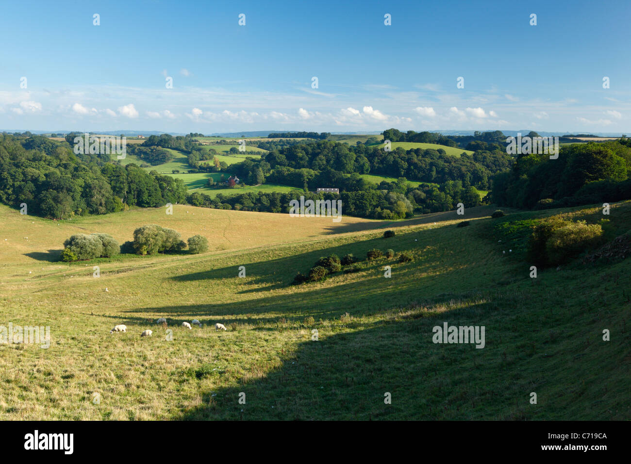 Blick ins Witcombe Tal (Website eines mittelalterlichen Dorfes) von Metzgerei Hügel. Schinken Hill Country Park. Somerset. England. VEREINIGTES KÖNIGREICH. Stockfoto