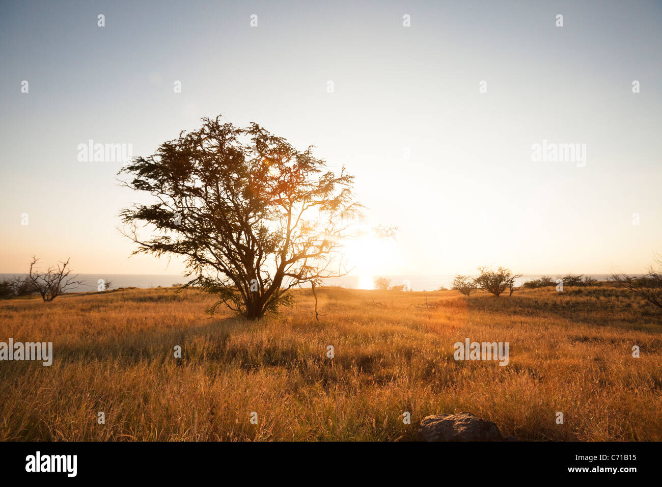 Ein Sonnenuntergang ist Blick vom Highway 270 auf der Big Island von Hawaii. Stockfoto