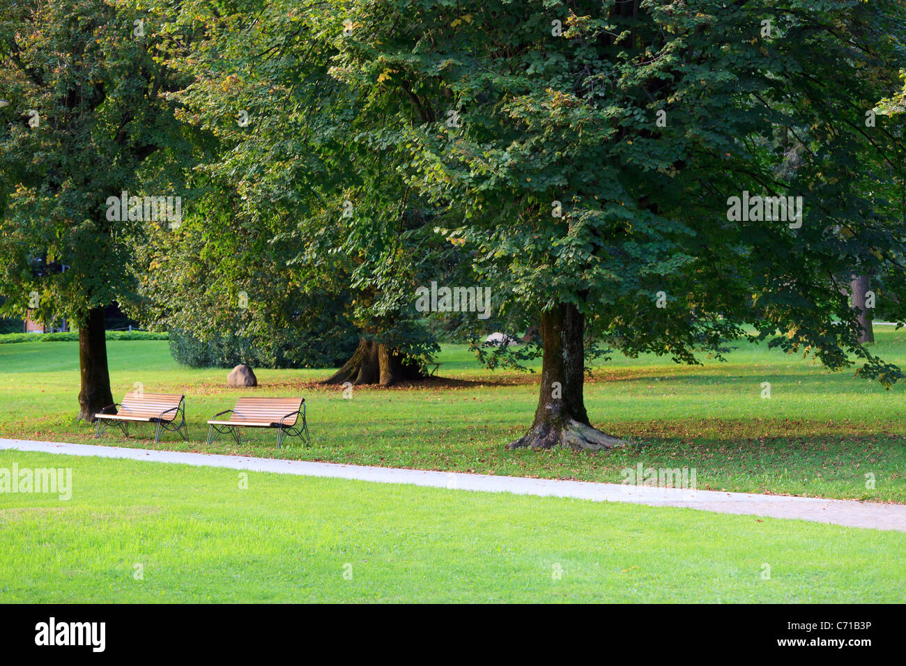 Herbstliche Grünanlage mit Bänken unter riesigen Bäumen in Levico. Konzentrieren Sie sich auf zwei Bänke auf der linken Seite Stockfoto