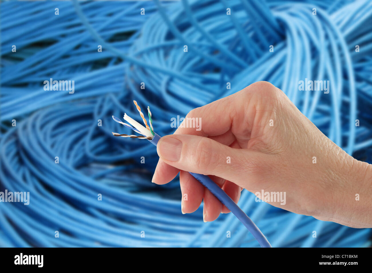 Hand mit blau Netzwerkkabel Stockfoto