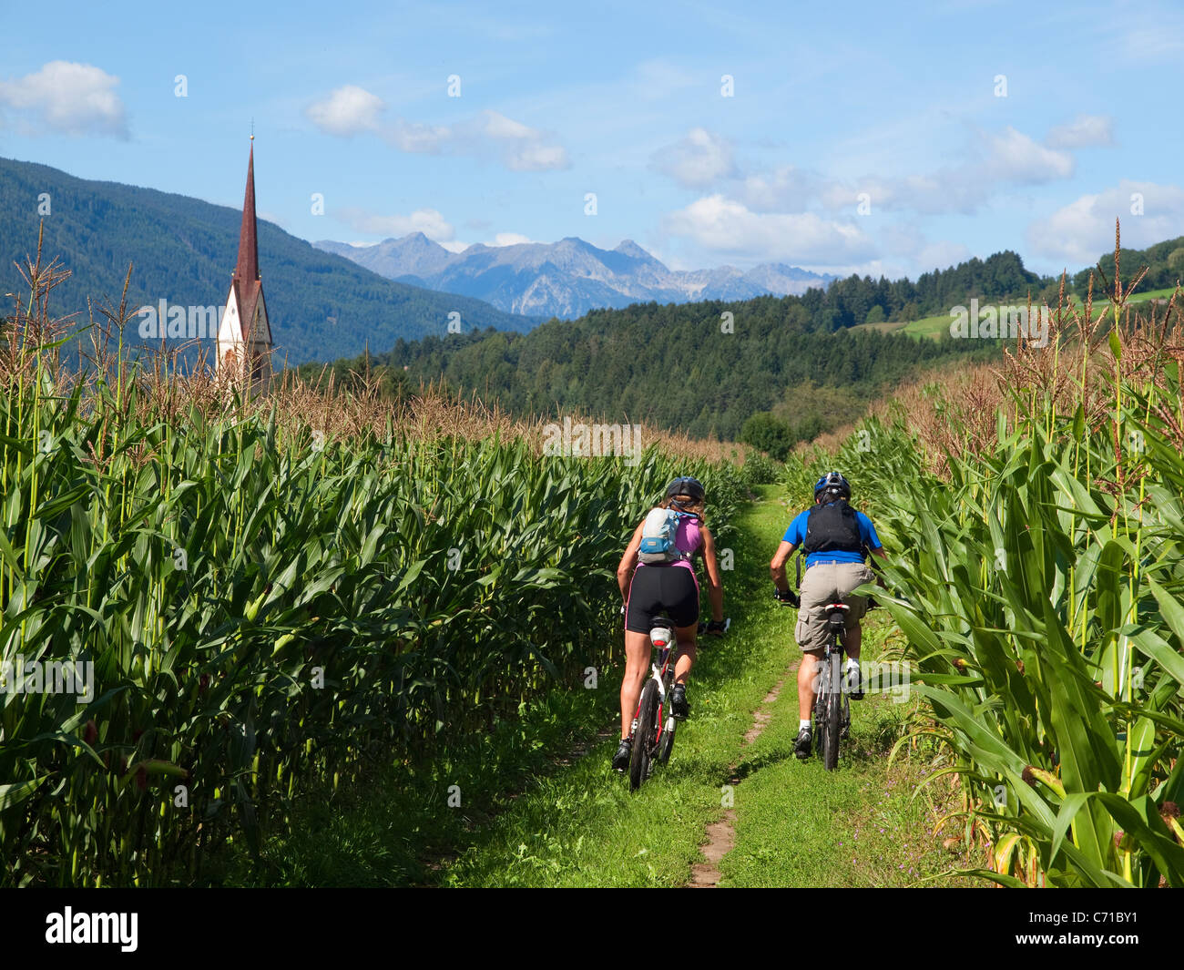 Zwei Mountainbiker fahren zwischen Maisfeldern im Pustertal, mit einer Kirche im Hintergrund. Stockfoto