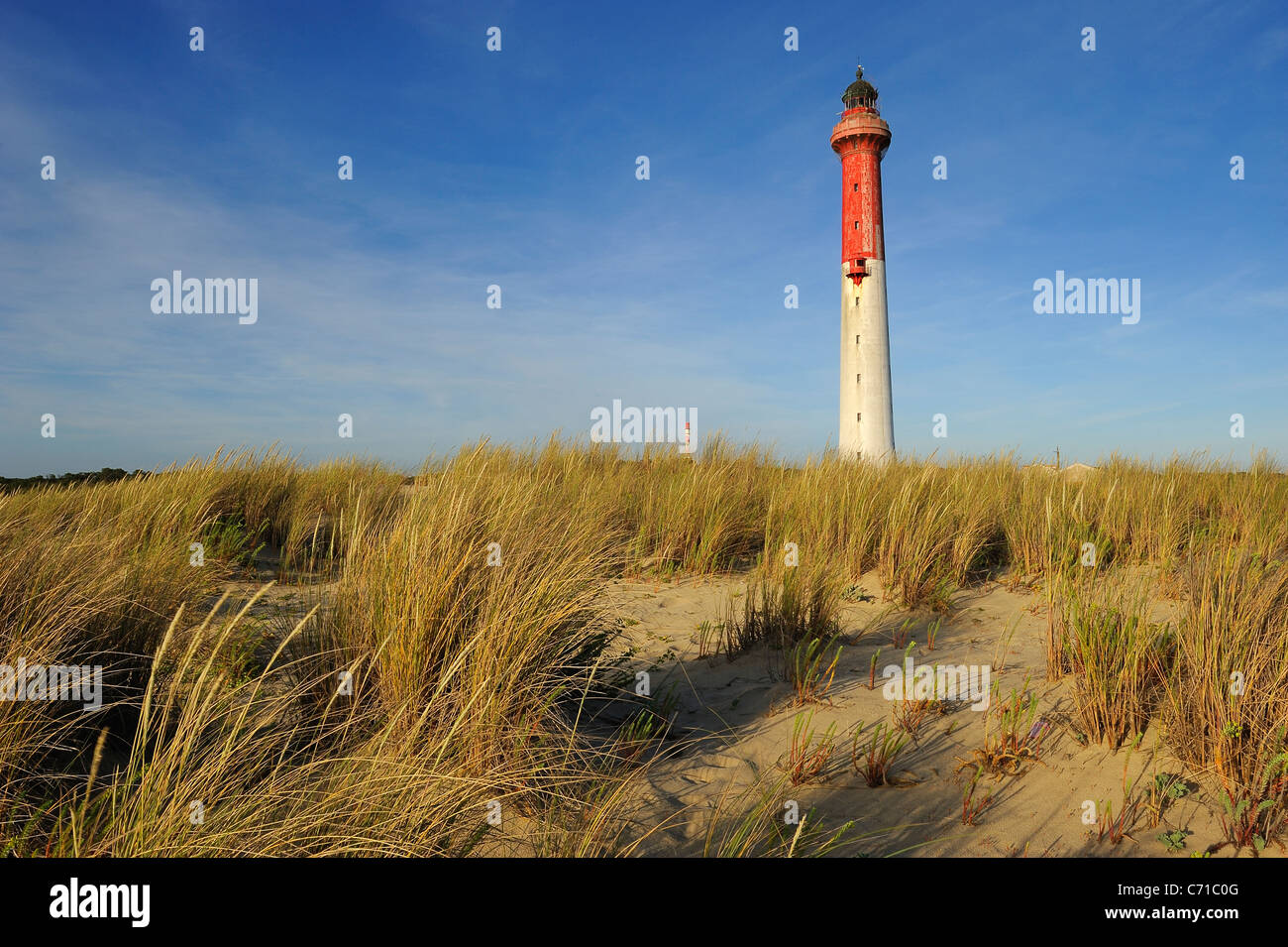 Leuchtturm von La Coubre, umgeben von europäischen Strandhafer, Atlantik, Charente Maritime Abteilung, Frankreich Stockfoto