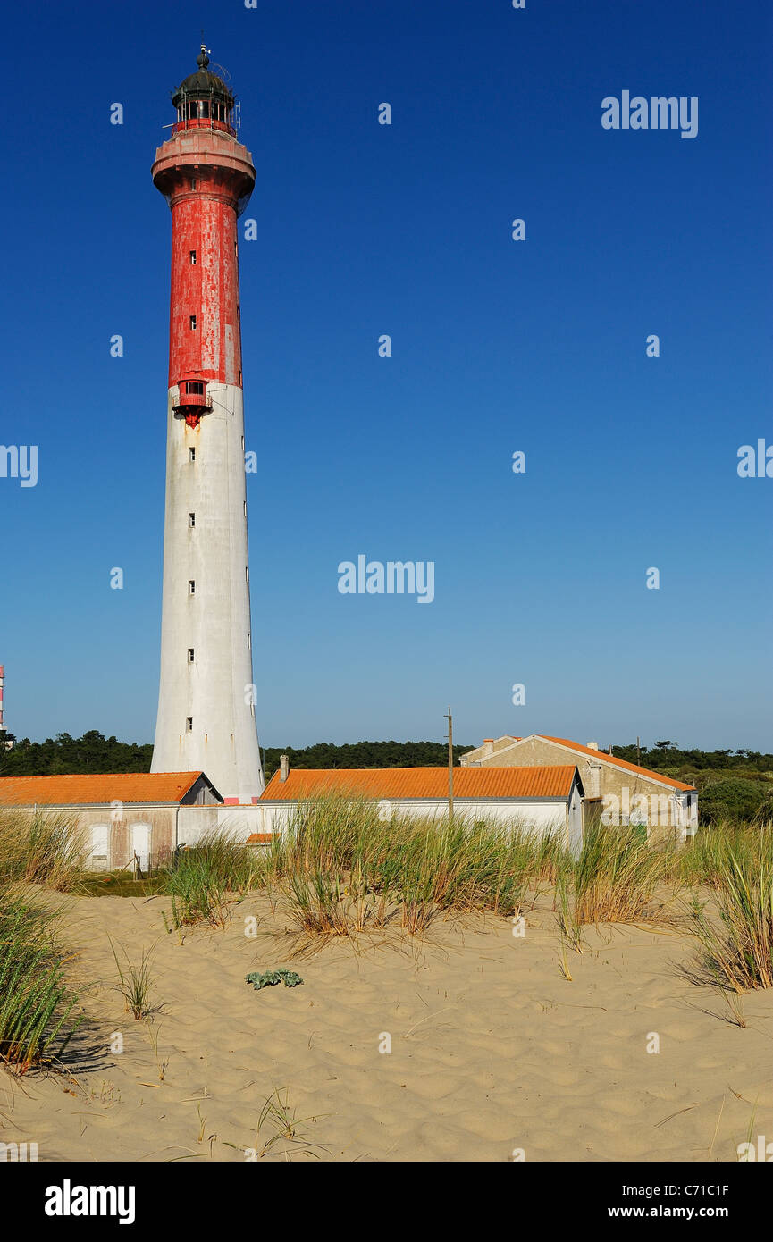 Leuchtturm von La Coubre, umgeben von europäischen Strandhafer, Atlantik, Charente Maritime Abteilung, Frankreich Stockfoto