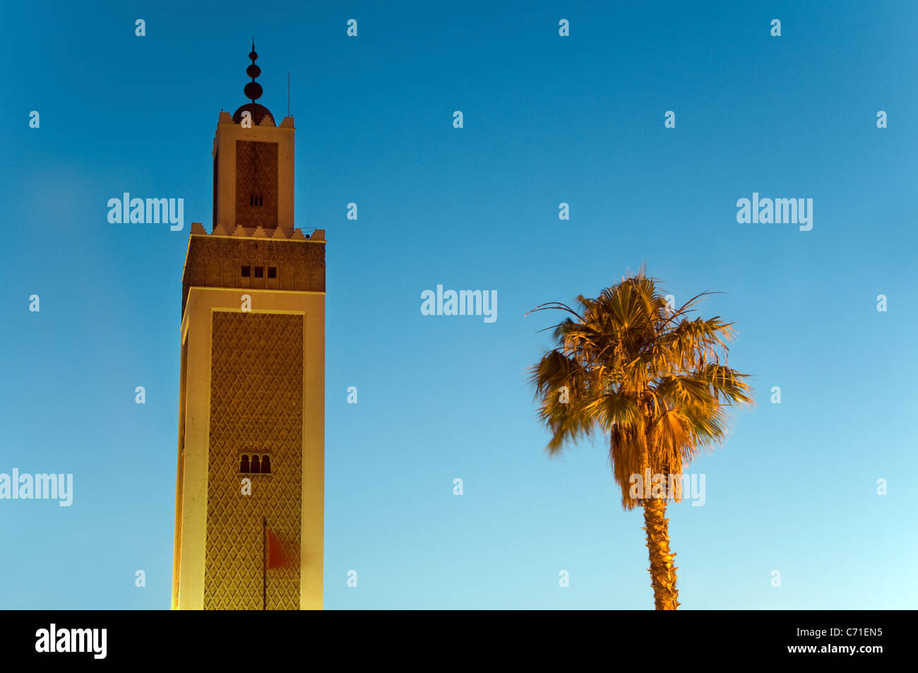 Eine Moschee und eine Palme in der Abenddämmerung in Tanger, Marokko. Stockfoto