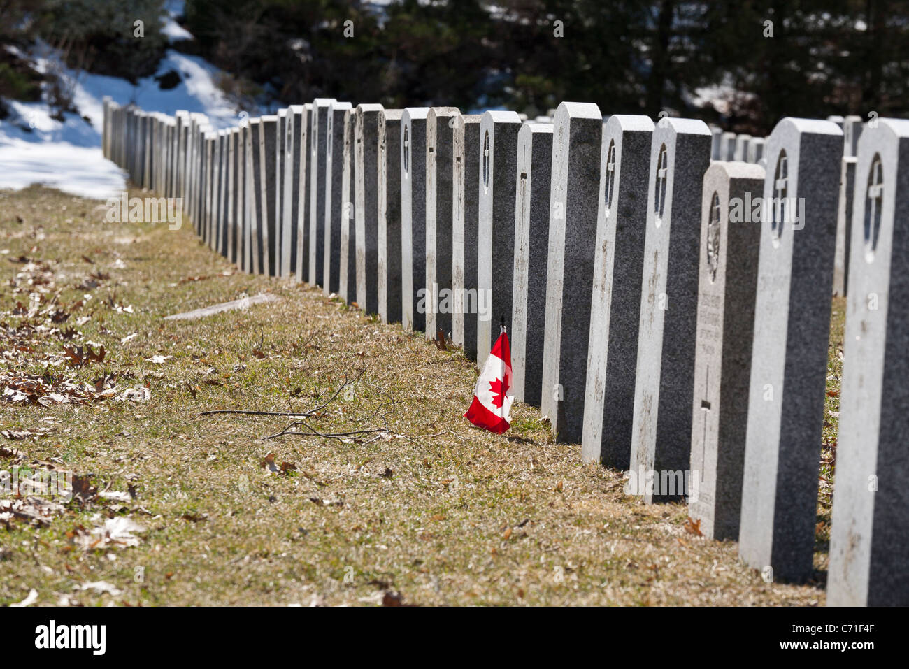 Lange Reihe von kanadischen Militär Grabsteine.  Man wird mit einer kanadischen Flagge markiert. Stockfoto