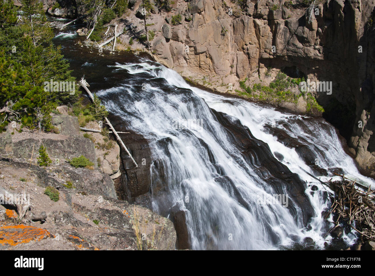 Gibbon Falls am Gibbon River im Yellowstone National Park in Wyoming. Stockfoto