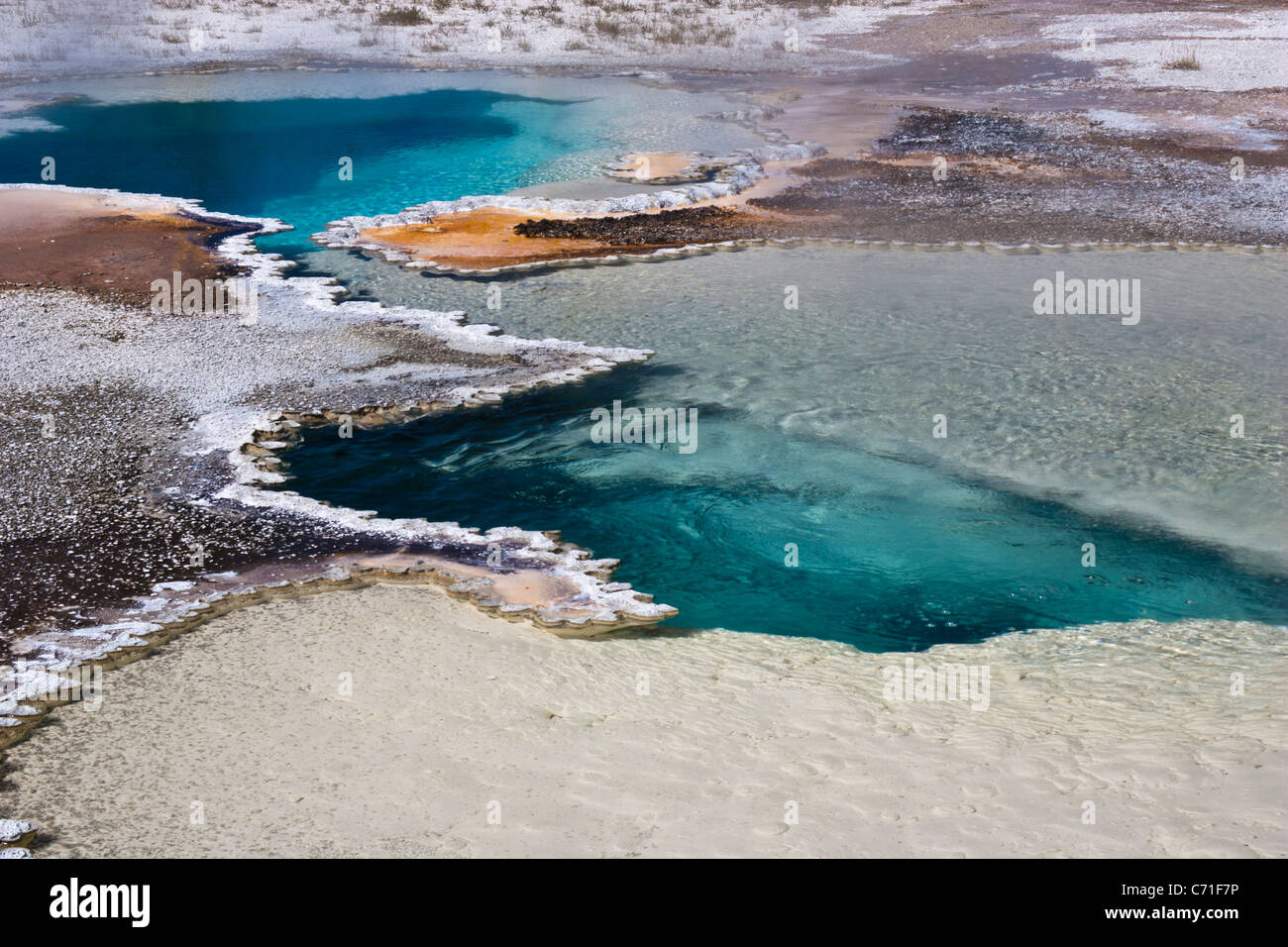 Heiße Quellen in Upper Geyser Basin im Yellowstone Nationalpark in Wyoming. Stockfoto