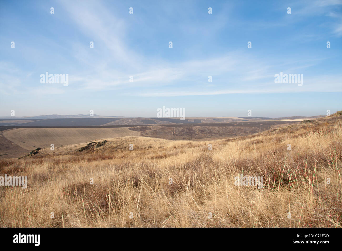 Ruhige Herbstlandschaft. Steppe Kasachstan. Stockfoto